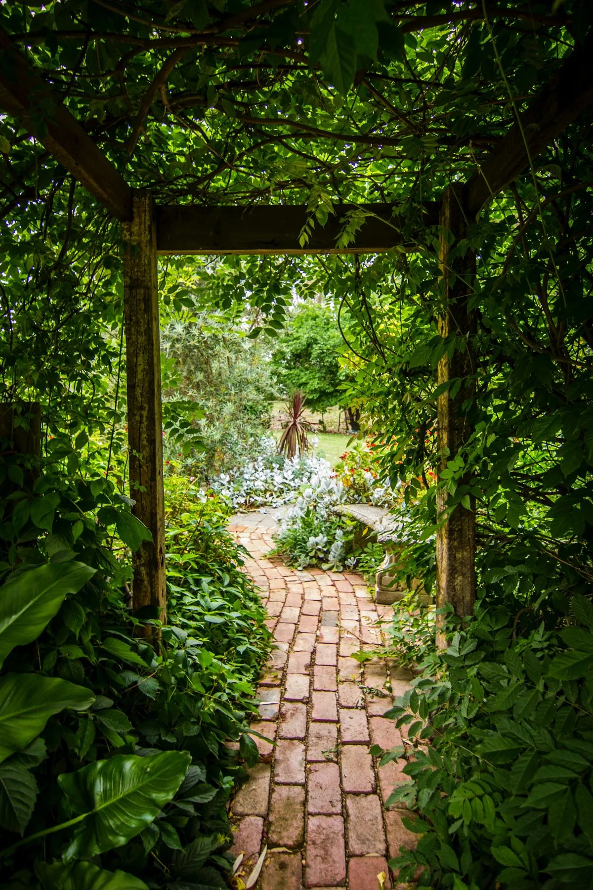 Illustrative garden with lush foliage and an inviting garden structure