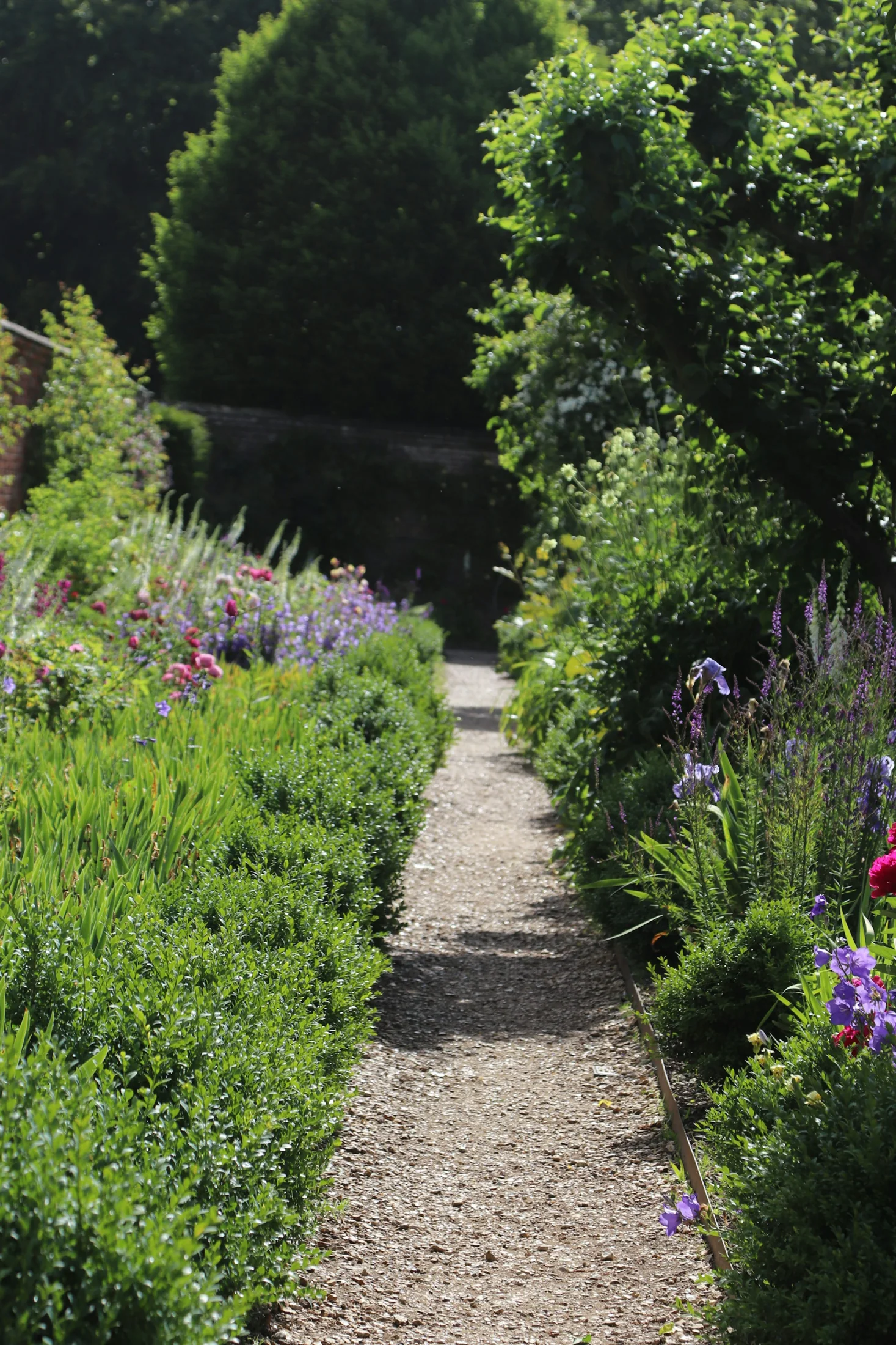 Flowering garden borders and a welcoming gravel path — illustrative garden photography